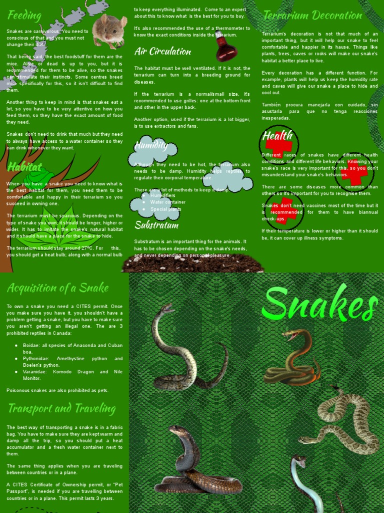 LW. Snakes Brochure | PDF | Science & Mathematics