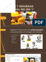 Higiene y Seguridad Industrial Ind 204 Ayudantia 1