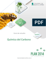 Química Del Carbono: Guía de Estudio