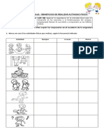 Guía 5 Actividad Fisica