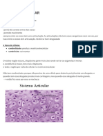 Processos Biológicos