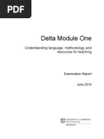 Delta Module One Report June 2010