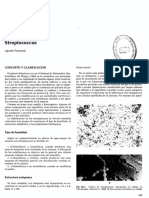 Streptococcus Grupo A - Pumarola