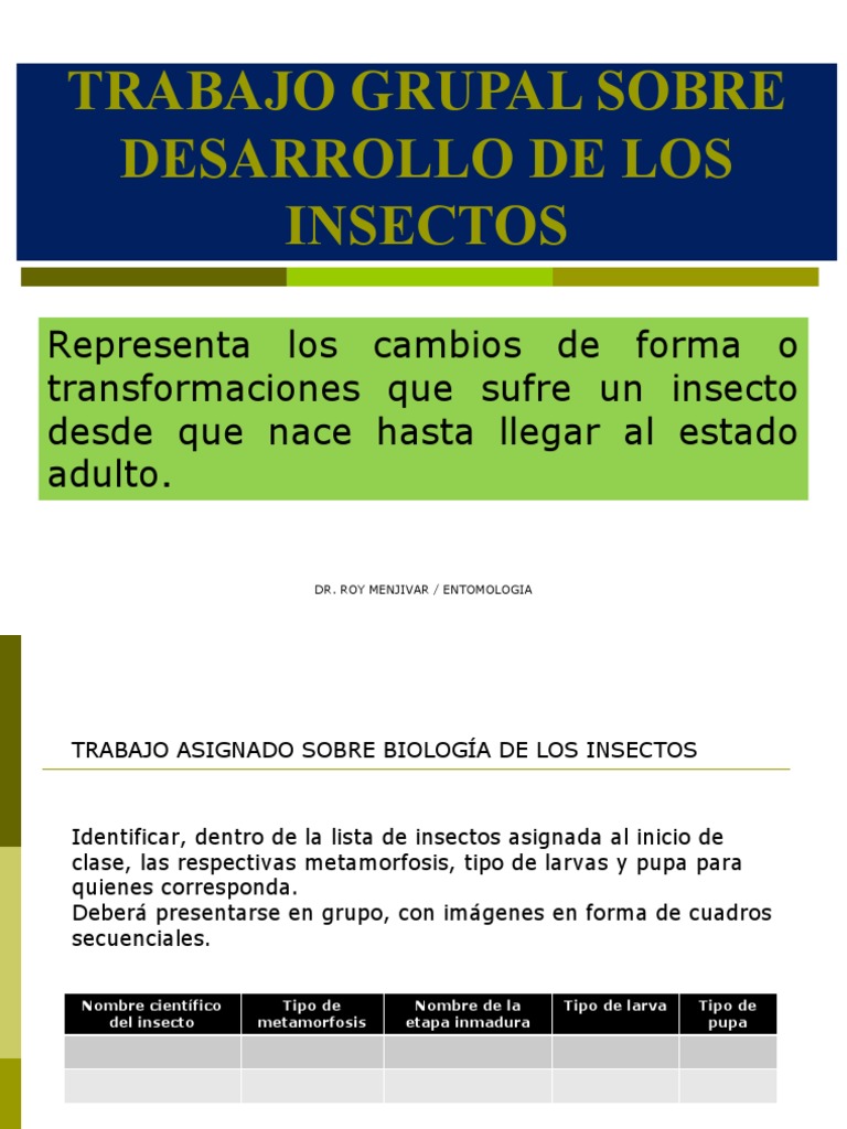 Tarea Sobre Desarrollo de Los Insectos 2023 | PDF