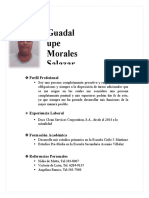 Guadal Upe Morales Salazar: Perfil Profesional