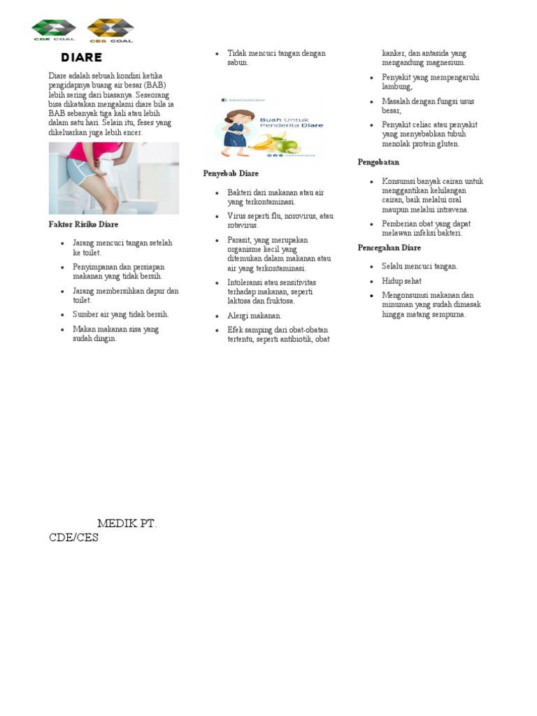 Buletin Kesehatan Diare | PDF