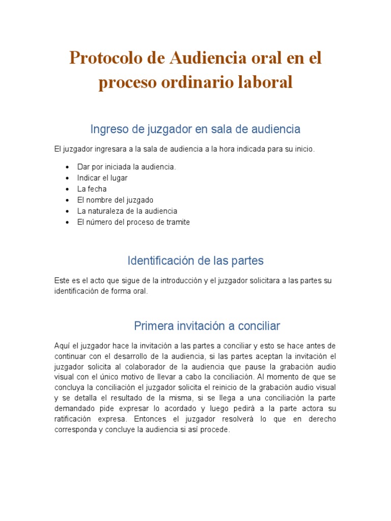 Resumen Protocolo de Audiencia Oral | PDF | Justicia | Crimen y violencia