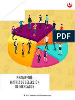 Manual Digital - PROMPERU Matriz Selección Mercados