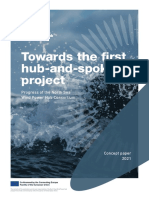NSWPH - Concept Paper - 05 - 2021 - v2