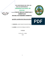 Gestión Ambiental Descentralizada: Universidad Nacional de Ucayali