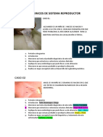 Casos Clinicos de Sistema Reproductor 4 Casos