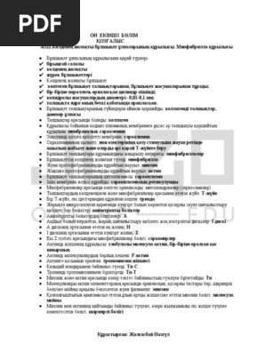 Трансвестит қайын енесі мен күйеу баласы