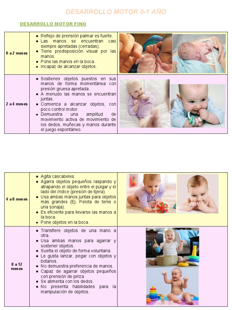 Desarrollo Motor de 0 a 12 Meses | PDF | Mano