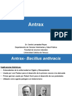 Antrax-Bacillus anthracis