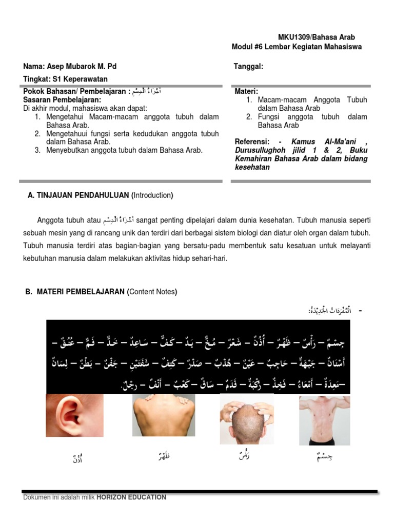 Module Arabic Language 6 | PDF