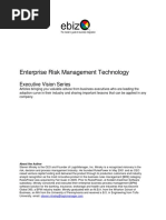 Enterprise Risk Management