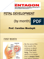 1b.fetal Development