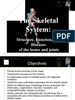 The Skeletal System:: Structure, Function, and Diseases of The Bones and Joints
