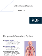 Week 14: Peripheral Circulation and Regulation
