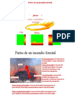 Partes de Un Incendio Forestal