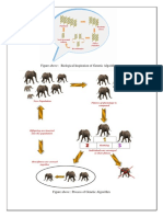 Figure Above: Biological Inspiration of Genetic Algorithm