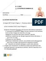 Activitats Nutrició - Sistema Respiratori