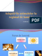 Adaptările Animalelor La Regimul de Lumină