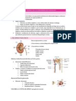 Tema 12 Fisio Marta