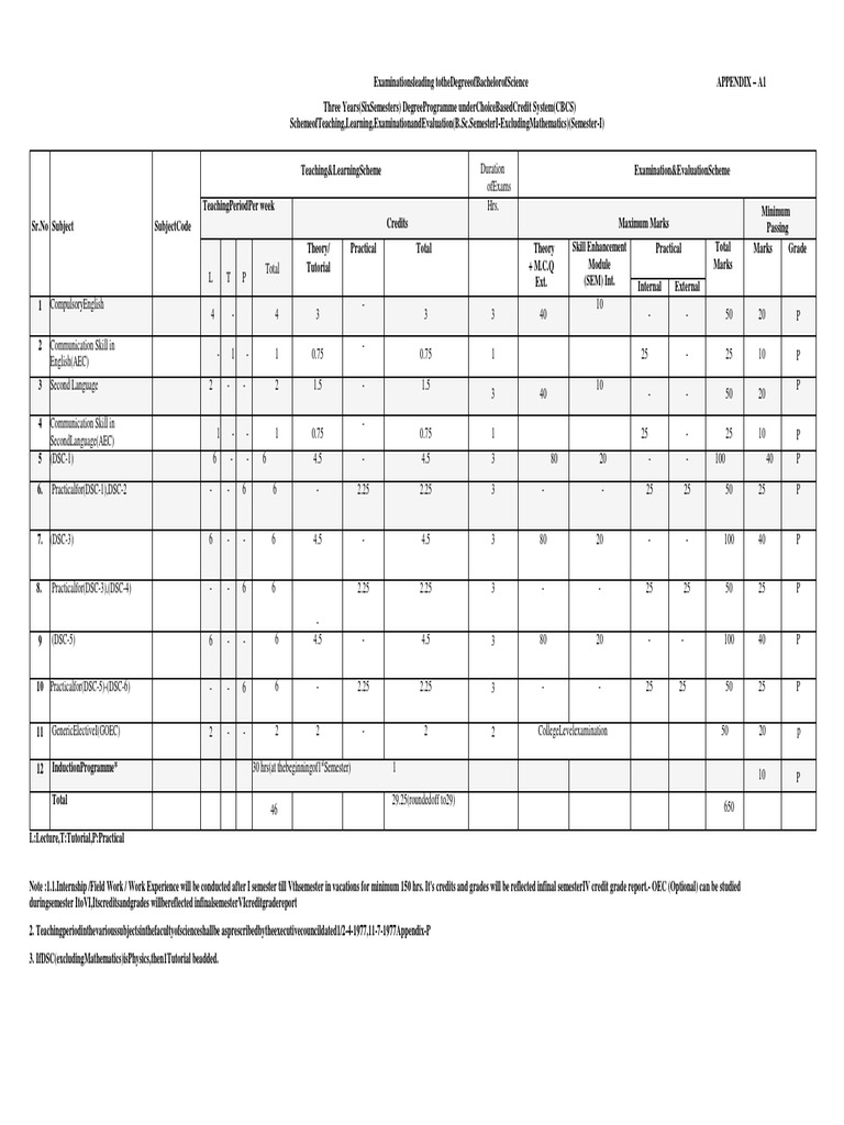 B.Sc. CBCS Examination Scheme Overview | PDF | Course Credit | Learning