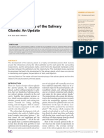 The Embryology of The Salivary Glands: An Update: Abbreviation Key