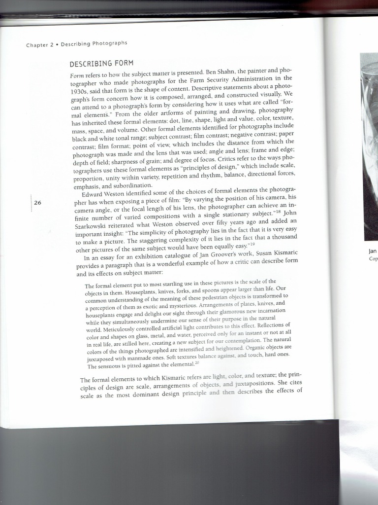 Terry Barrett - Form | PDF