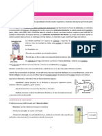 Neuroanatomía: Sistemas nerviosos central y periférico