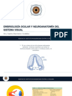 Embriología Ocular y Neuroanatomía Del Sistema Visual