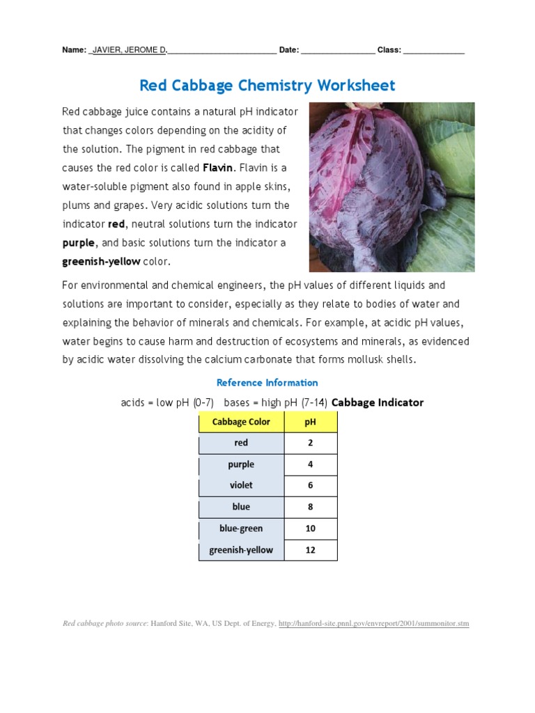 Activity7 Cabbage Chemistry PDF Ph Drink