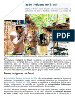 População Indígena No Brasil