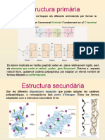 Estructura Primària: N-Inicial C-Terminal