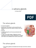 LG 1 (Half - The Salivary Glands)