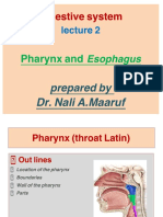 LG 2 (Pharynx & Esophagus)