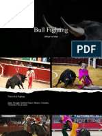 Bull Fighting: - Atharva Aher