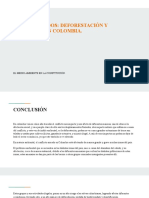 Bosques Caídos - Deforestación y Conflicto en Colombia.