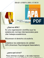 Normas Apa