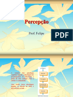 Percepcao