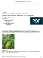 Melão de São Caetano - Benefícios e Propriedades Desta Planta