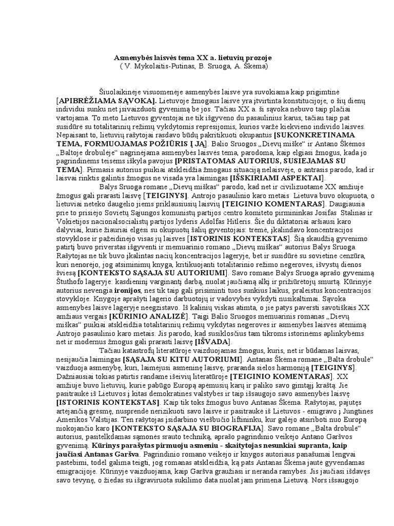 Literaturinis Rasinys | PDF
