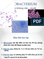 Mycobacterium