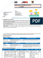 Daniel Alcides Carrion 5° Grado - Experiencia de Aprendizaje