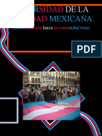 Diversidad de La Realidad Mexicana