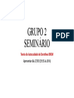 Grupo 2 Seminário: Teoria Do Autocuidado de Dorothea OREM
