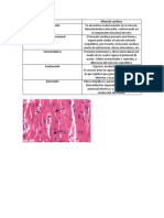 Músculo Cardiaco Cuadro Histo