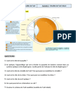 Activité 2 Oeil